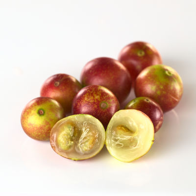 Camu Camu fruits